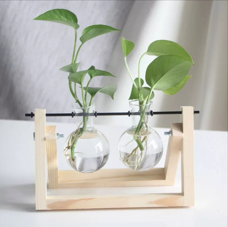 Propagation station propagation vase Plant vase glass Etsy