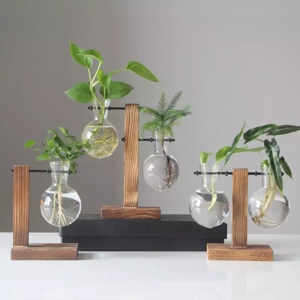 Propagation station, propagation vase, Plant vase, glass propagation vase, propagation stand