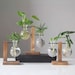 Propagation station, propagation vase, Plant vase, glass propagation vase, propagation stand 