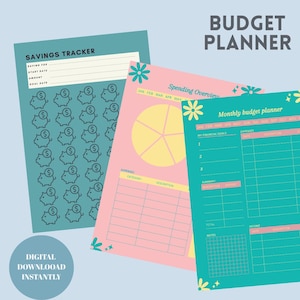 Page Budget Planner | Monthly Budget, Expense Tracker, Zero-Based & aycheck Budget Template | Printable and  Digital PDF