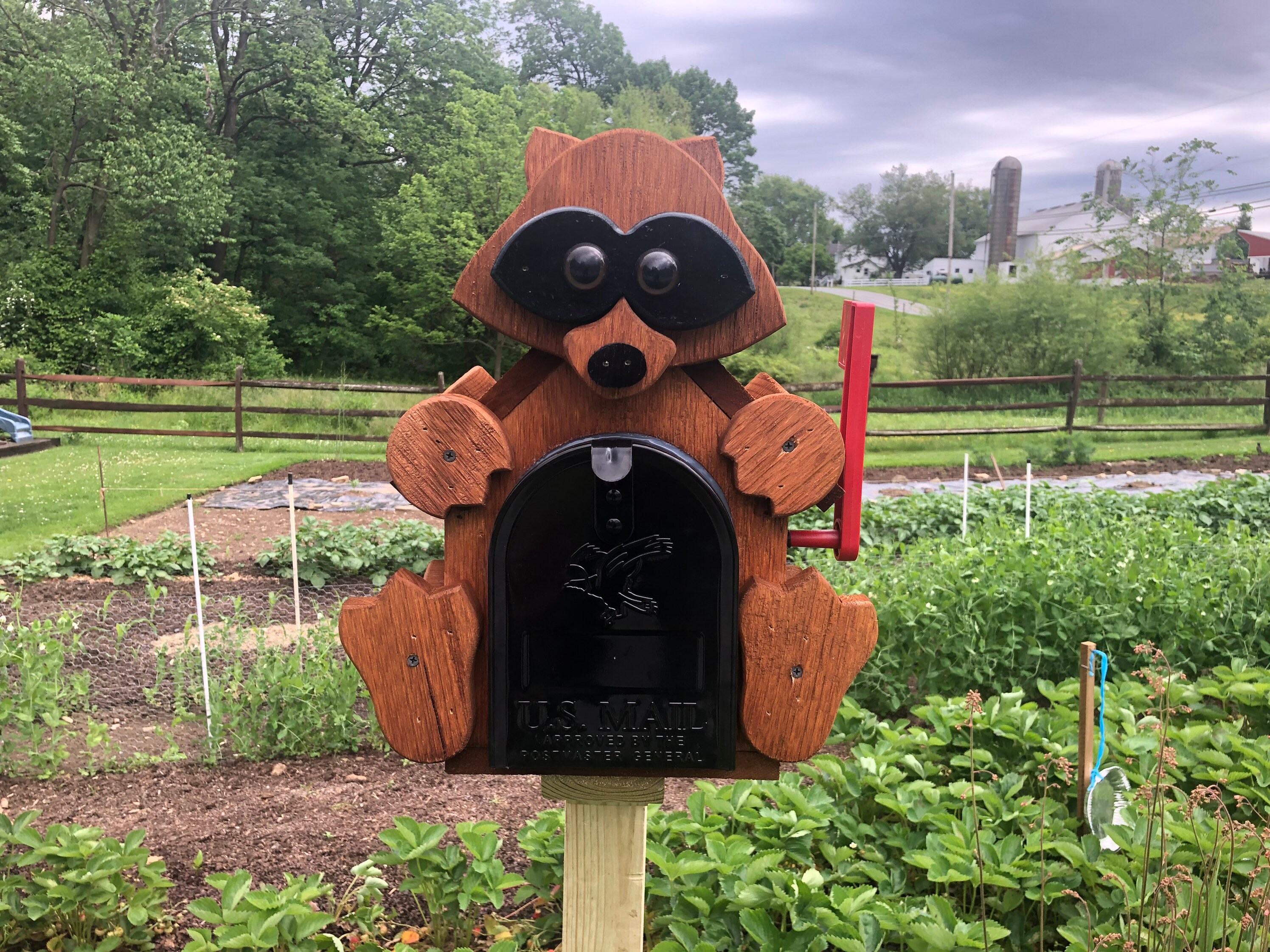 Raccoon mailbox. Wood mailbox. Animal mailbox made by hand by Etsy
