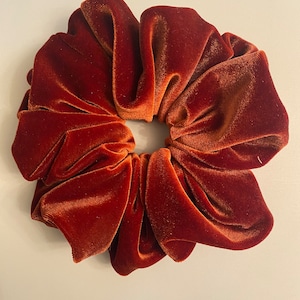 May include: A rust-colored velvet scrunchie for hair.