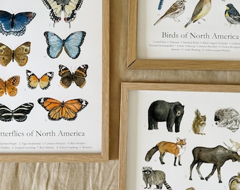 Animal&#39;s of North America Poster | Homeschool Print | Nature Study | Woodland Nursery Decor | nature print | Woodland Animal Nature Art