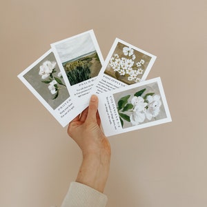 Verse cards | scripture memory cards with stand | scripture cards | Bible verse cards | Scripture cards with stand | Christian gifts |