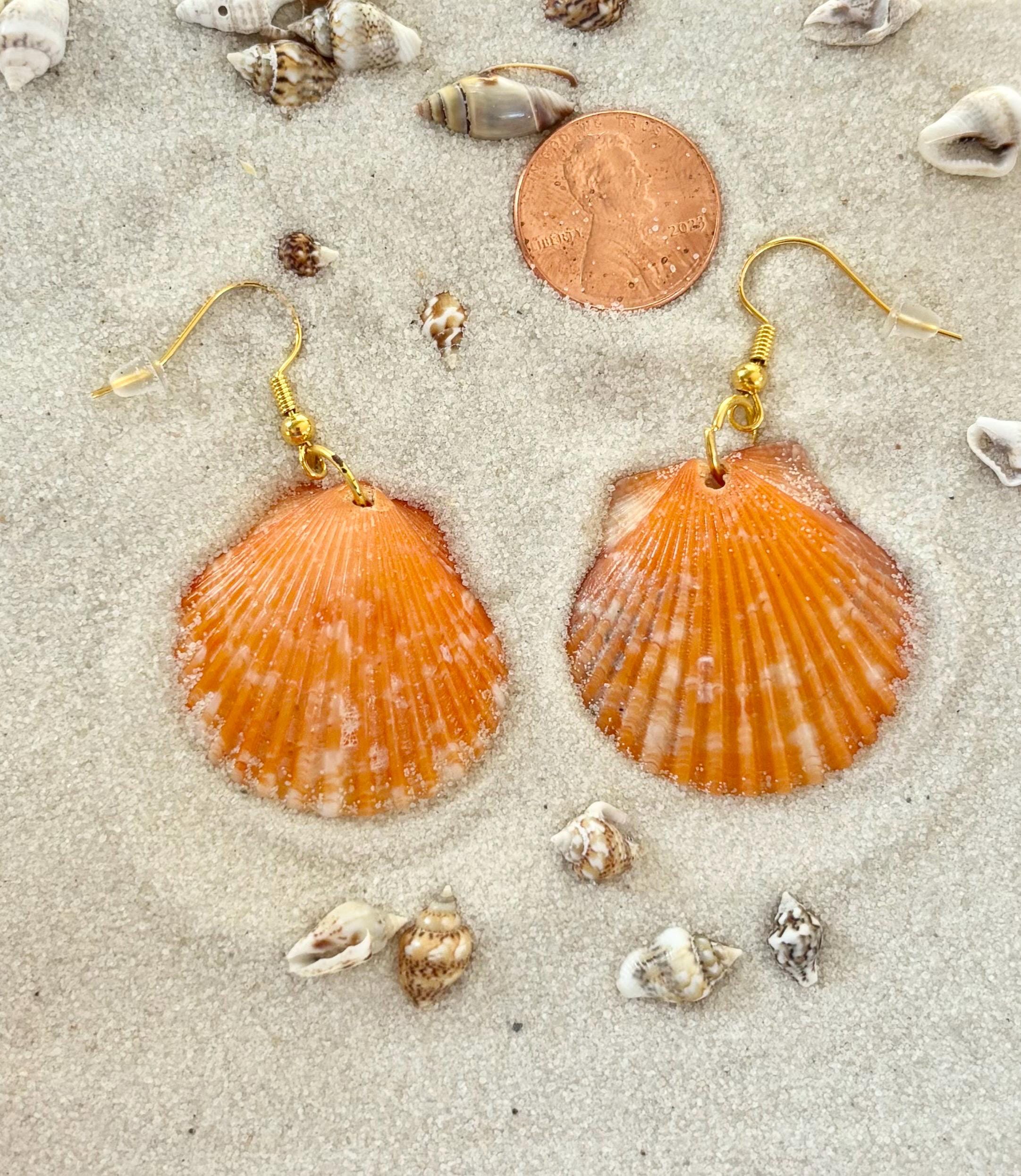 Calico Scallop Shell Earrings Sterling Silver Posts Sanibel Island - Etsy