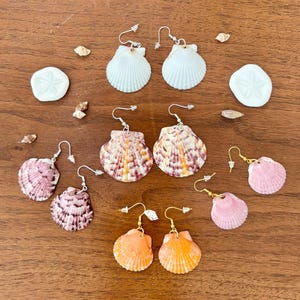 May include: An assortment of seashell earrings in various colors, including white, pink, orange, and purple, arranged on a wooden surface. The earrings feature different shell shapes and sizes, with silver or gold-colored hooks. Decorative sand dollars and small shells are also present.