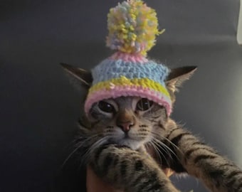 Cat Hats! Cute Hat For Cat!