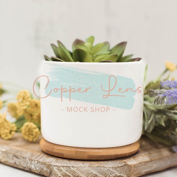 Succulent pot mockup, white ceramic pot mockup, plant pot mockup, small plant pot mockup, Pot with bamboo tray mockup