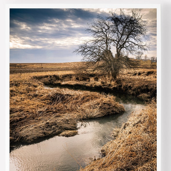 Rural Creek, Illinois, Country Life, Farmland, Rural Scene, Rural Photography, Warm Tones, Farm Life, Creek, Rural Decor, Farm Landscape