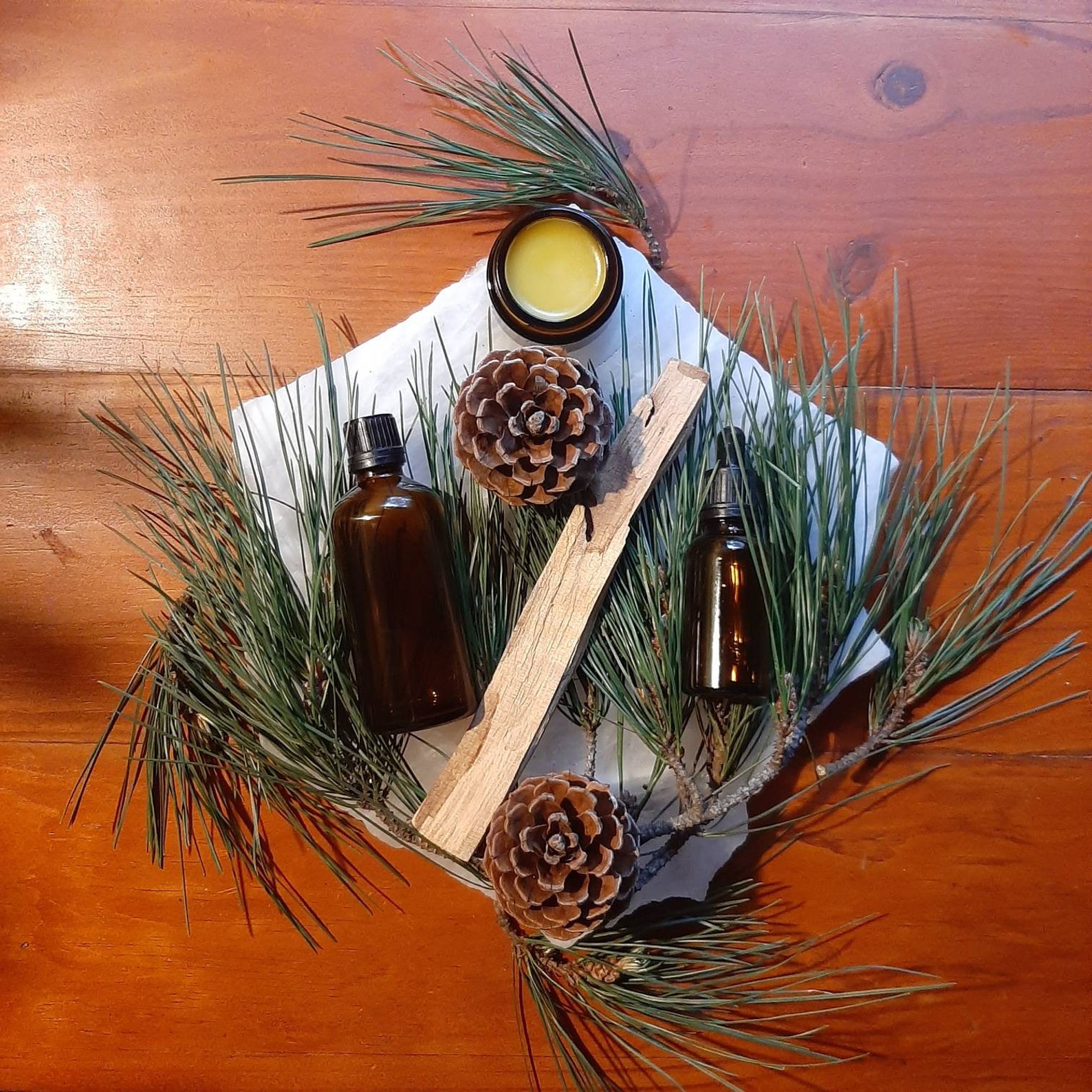 PINE MEDICINE PACK Pine Tincture Pine Elixir Pine Body Oil Etsy