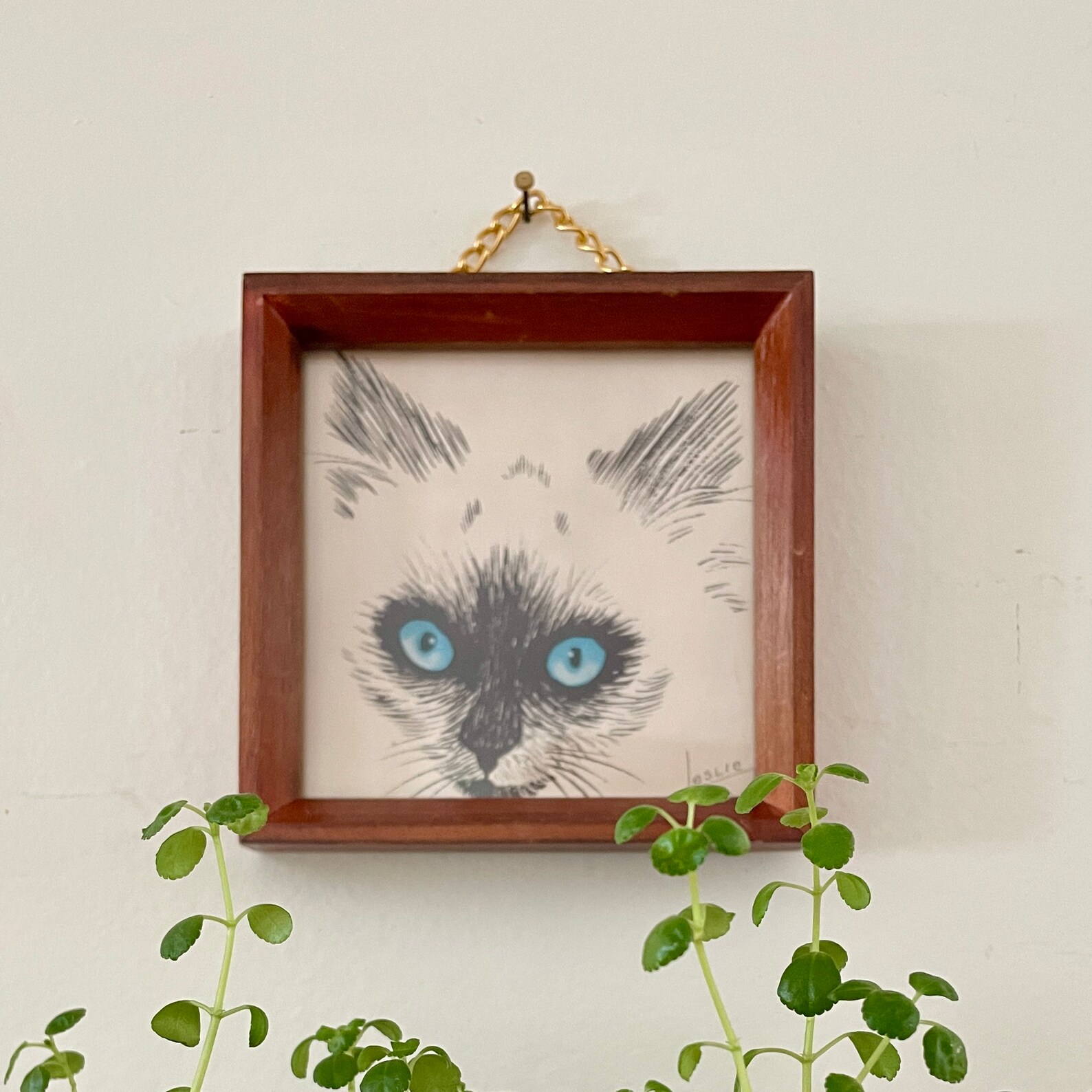 Vintage Framed Cat Print Cat Picture Small Framed Cat Etsy