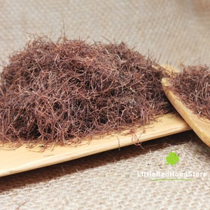 Könnte beinhalten: Ein Haufen getrockneter, rotbrauner Algen auf einer Holzoberfläche. Die Algen sind lang und dünn und liegen in einem lockeren Haufen. Im Hintergrund befindet sich ein Holzlöffel mit weiteren Algen.
