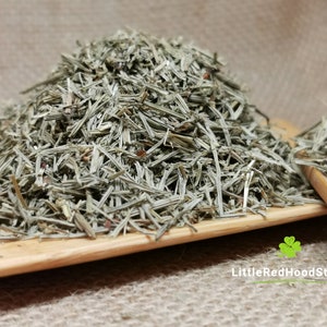 Horsetail Herb | Shavegrass | Dried Horsetail for Herbal Tea, Infusions, and Crafting