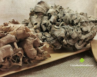 Maitake Mushroom - Whole Dried Grifola Frondosa for Culinary and Botanical Use