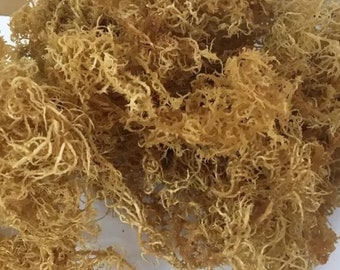 Golden Sea Moss - Whole Raw Irish Moss (Coral Grass) for Gels and Smoothies