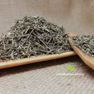 Chanca Piedra | Stone Breaker Herb | Dried Loose Leaves for Herbal Tea and Crafting