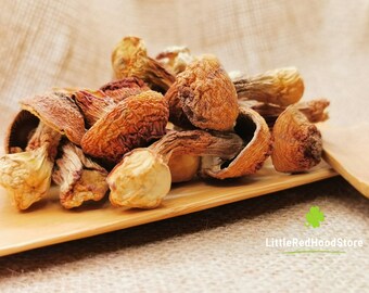 Blaze Mushroom - Dried Brazilian Blazei Slices for Tea, Broths, and Infusions