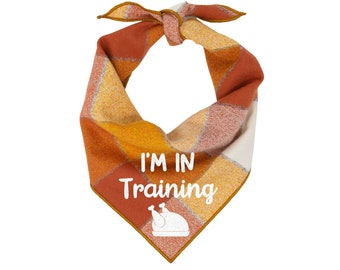 Thanksgiving Dog Bandana | Turkey Dog Bandana | Dog Bandana Thanksgiving | Fall Dog Bandana| I'm In Training was Designed by Teddy