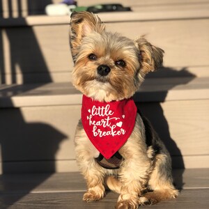 Valentine Dog Bandana, Red Flocked Hearts, Over the Collar Dog Bandana | Valentines Day Dog Bandana, LIttle Heart Breaker