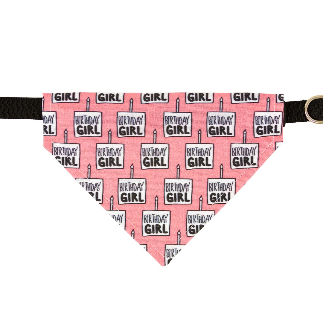 Bandana Girl Happy Birthday Dog Bandana Over the Collar Dog Bandana