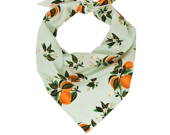May include: A light green bandana with a pattern of orange citrus fruit and green leaves.