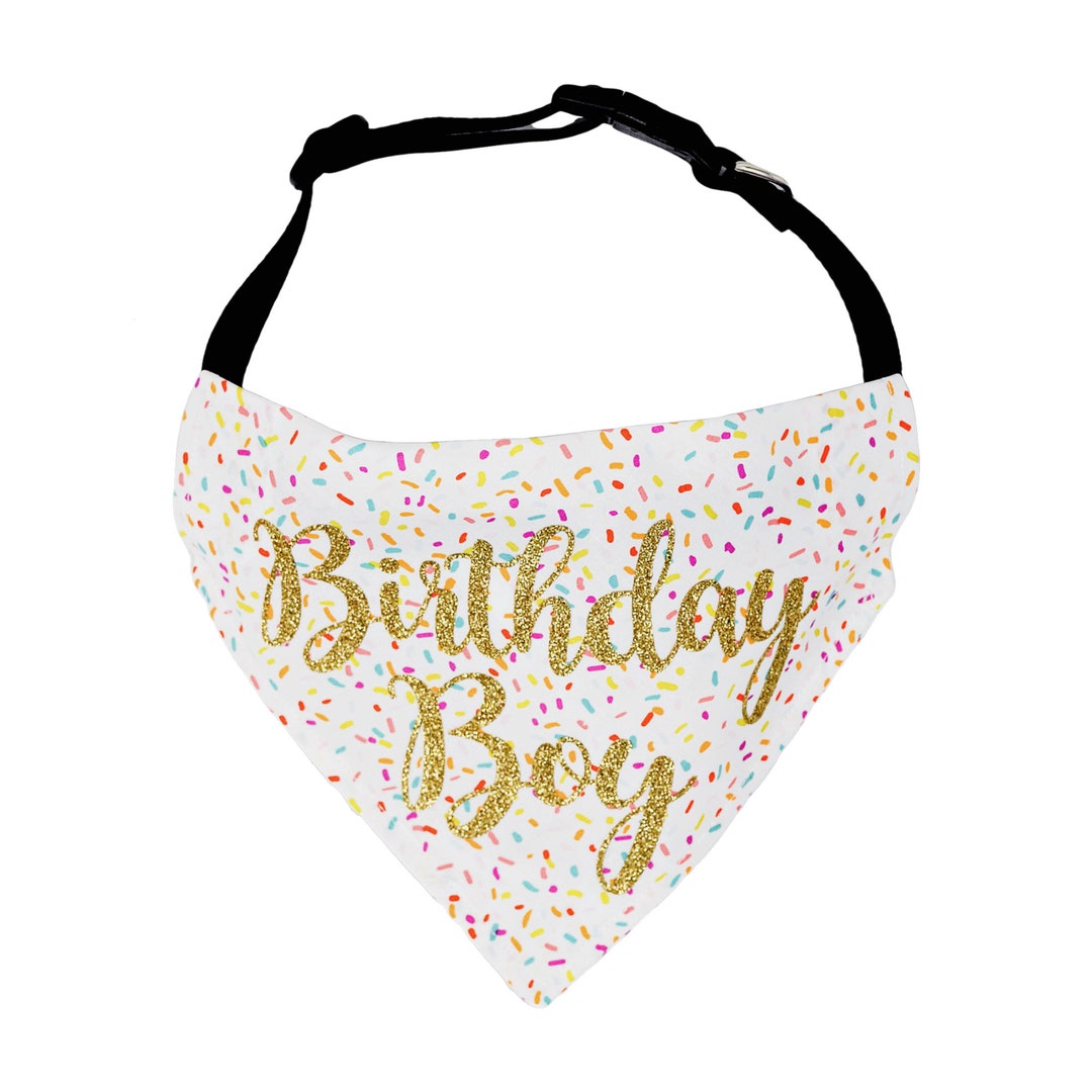 Dog Birthday Bandana Boy Happy Birthday Dog Bandana Over the Collar Dog Bandana Birthday Boy Dog