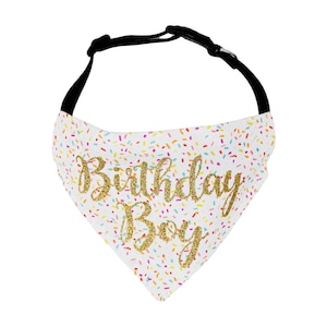Dog Birthday Bandana Boy | Gold Glitter, Over the Collar image 1