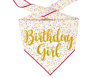 Birthday Girl Dog Bandana | Sparkly Vinyl, Raspberry Trim