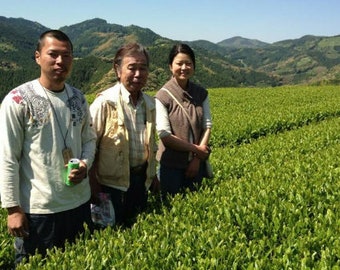 Organic Houjicha (Roasted Kukicha Japanese Twig Tea)