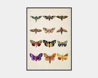 Vintage Moths, Printable Art, Digital Print, Retro Printable, Vintage Decor, Moth Wall Art