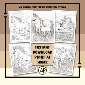 20 Horse and Rider Coloring Pages for Adults & Kids, Stallion Coloring Sheets, Equine Printable coloring Pages, Digital Prints Art