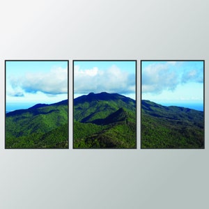 El Yunque デジタルダウンロード、3 ピース ウォール アート、プエルトリコ プリント セット、プエルトリコ国立森林公園の印刷物、デジタルダウンロード、3 点セット