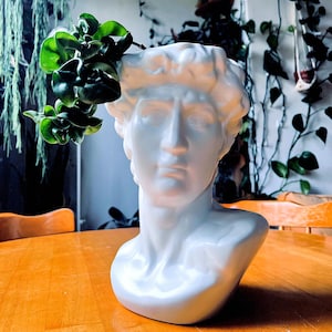 Peut inclure: Un buste en céramique blanche d'une figure classique, utilisé comme pot de fleurs. Le buste est rempli de plantes vertes à feuilles. Le buste est posé sur une table en bois. L'arrière-plan comprend d'autres plantes.