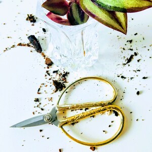 May include: A pair of gold-coloured, decorative scissors with a silver blade. The scissors are lying on a white surface with brown and white specks. A small glass vase with a purple and green plant is in the background.