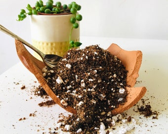 Enriched Soil Mix for Houseplants with Coco Peat, Orchid Bark, Perlite, Sphagnum Moss, Pebbles | Succulent Cactus Soil Mix | Bonsai Mix