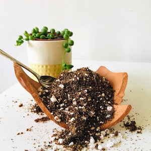 Enriched Soil Mix for Houseplants with Coco Peat, Orchid Bark, Perlite, Sphagnum Moss, Pebbles | Succulent Cactus Soil Mix | Bonsai Mix