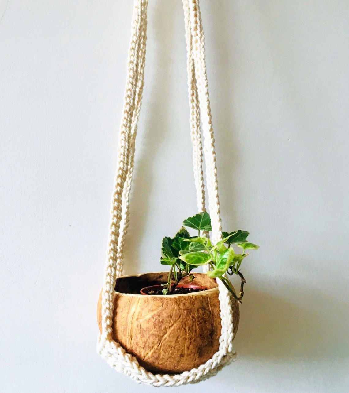 Houseplant Gift Set Boho Rustic Plant Hanger and Coconut