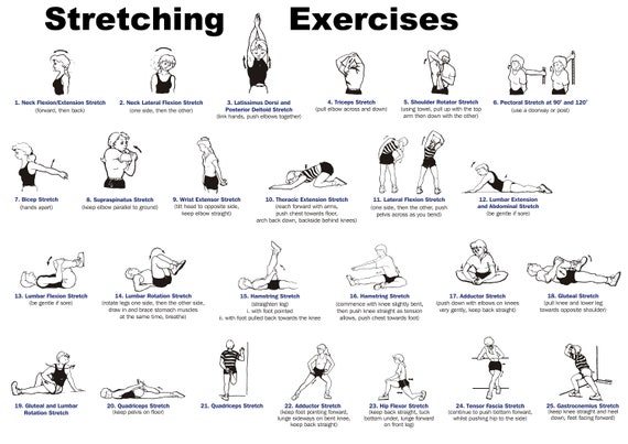 Stretching Exercises Gym Fitness Poster Print in Different | Etsy