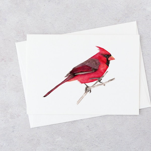 Cardinal gifts, red cardinal, blank note card with envelope, wildlife watercolor original cards