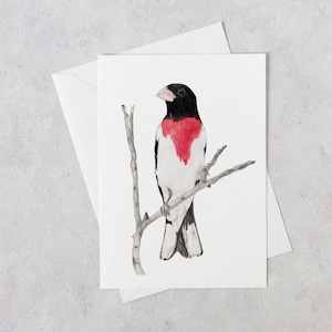 Bird greeting card, watercolor bird, blank with envelope, eco friendly stationery