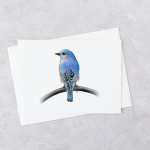 Watercolor bluebird art, blank note card, single with envelope