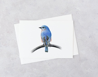 Watercolor bluebird art, blank note card, single with envelope