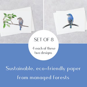 Bluebird pair blank notecard set of 8 with envelopes, original watercolor paintings, eco friendly