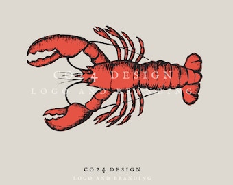 Lobster Illustration, Vintage Style Drawing, Hand Drawn Red Lobster, Nautical Decor, Marine Life Drawing (eps, svg, jpeg, pdf, png files)