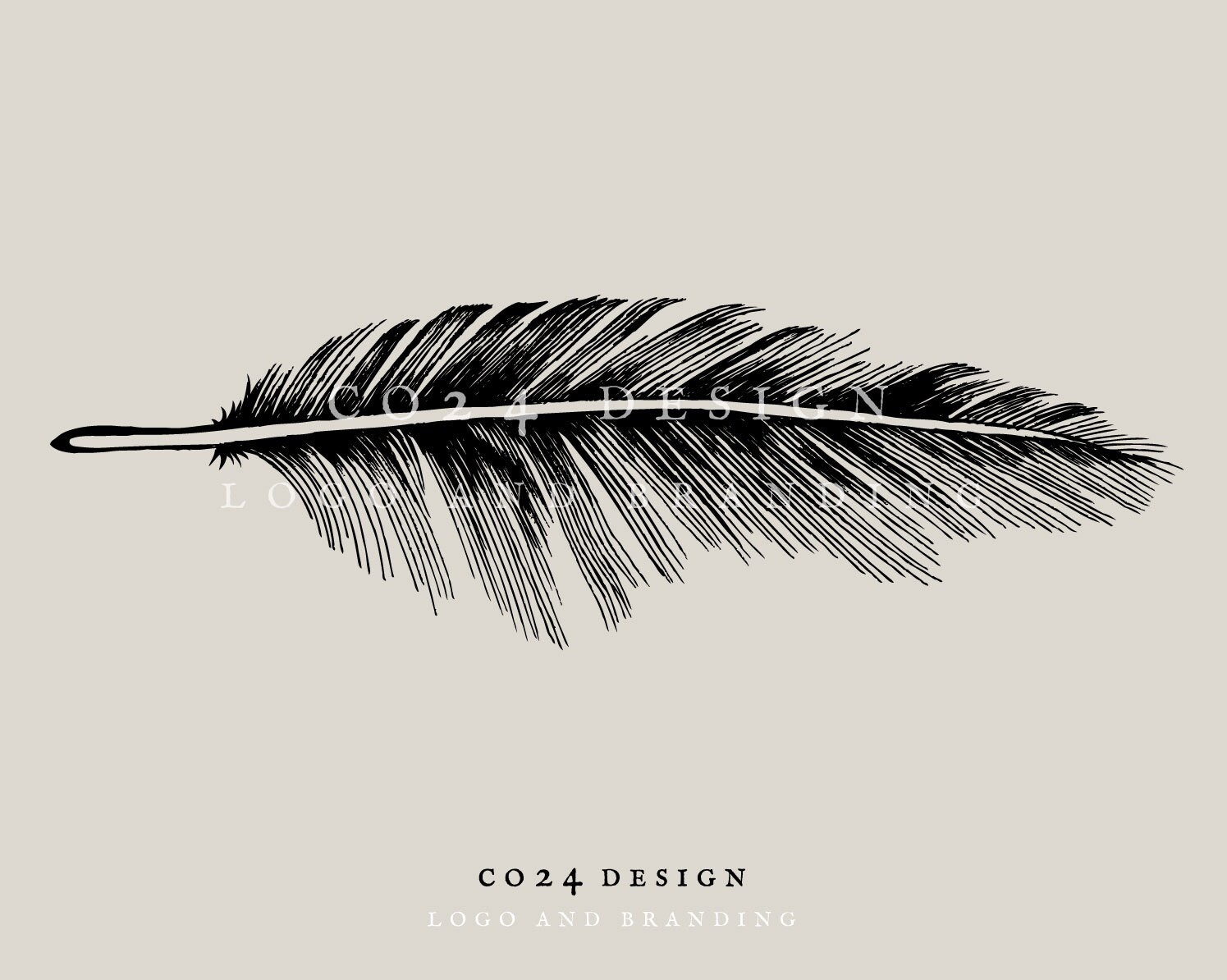 Feather Illustration, Vintage Style Black Feather, Hand Drawn Feather, Bird Feather Drawing, Feather Art (eps, jpeg, svg, pdf, png files)