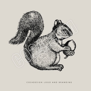 Squirrel Illustration, Vintage Style Hand Drawn Squirrel, Squirrel drawing, Animal Portrait, Animal art (eps, svg, jpeg, pdf, png files)