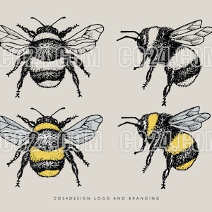 Vintage Bumble Bee Illustration, Hand Drawn Insect Art (Digital Files)