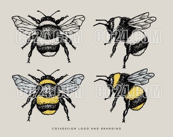 Bumblebee Vintage Style Hand Drawn Illustration, Bumble bee drawing, Zoological drawing, Insect art (eps, svg, jpeg, pdf, png files)