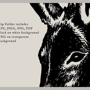 May include: Black and white illustration of a donkey's head. The donkey's eye is visible and the illustration is detailed.