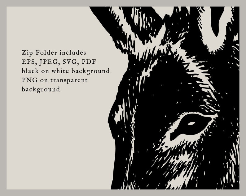 May include: Black and white illustration of a donkey's head. The donkey's eye is visible and the illustration is detailed.